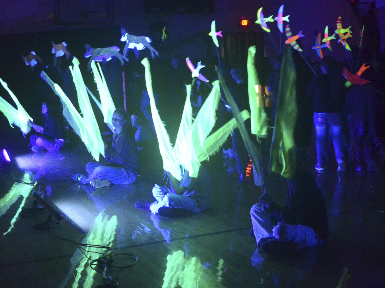 Black Light Performance